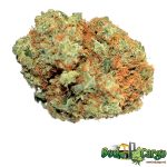 Gorilla Glue 260817