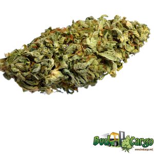 greencrack