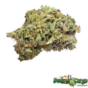 trainwreck 19 1218
