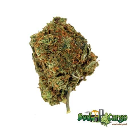 buy cannabis online