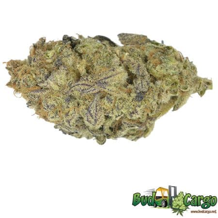 Pink Coma AAAA+ indica cannabis flower - Bud Cargo