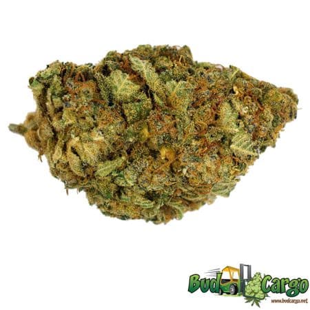 Gas Daddy - Oz Deal