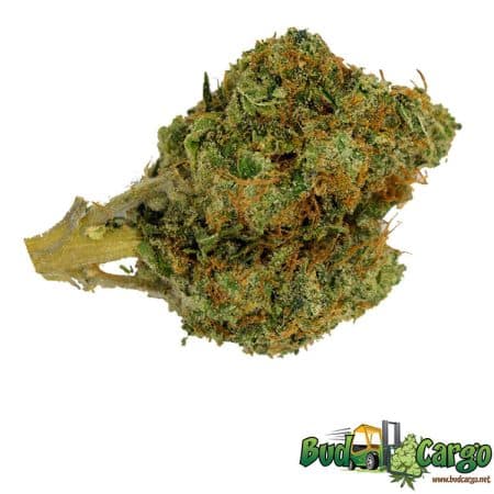 Skittlez - AAAA+