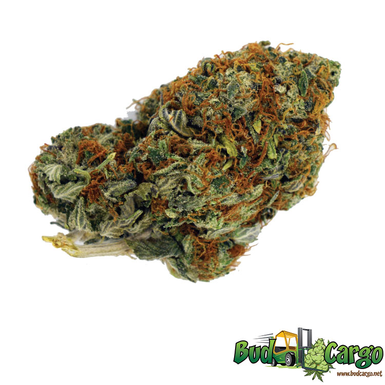 buy hammer cannabis online