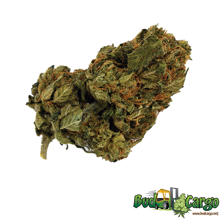 buy rockstar cannabis online