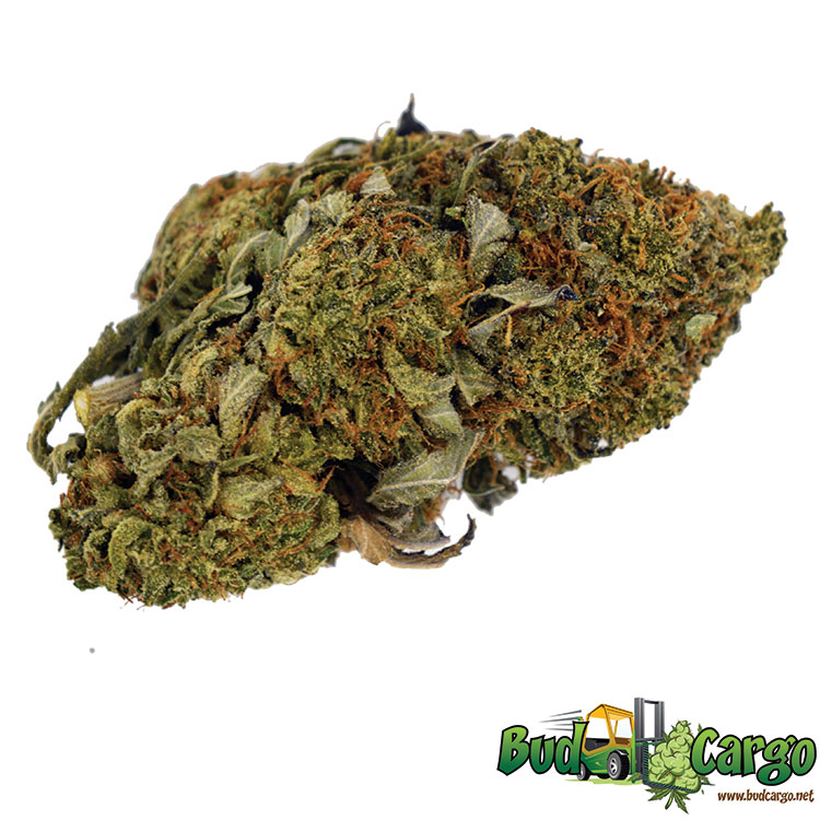 buy lemon haze online