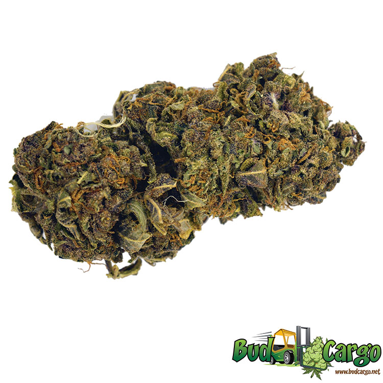 buy purple haze online