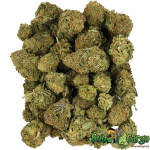 GMO Cookies - Wholesale
