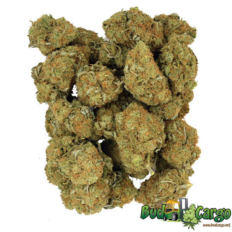 buy cali-bubba online