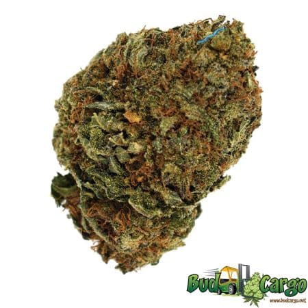 OG Kush - Oz Deal