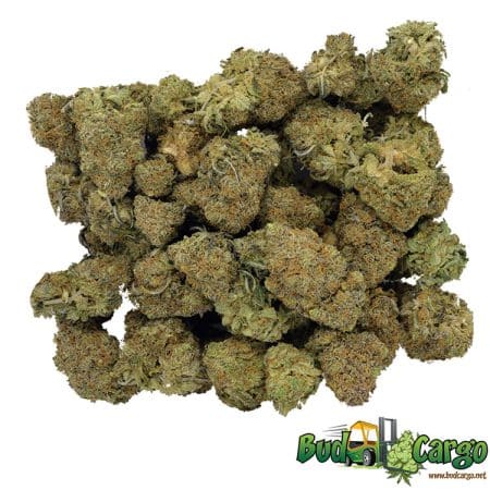 Cookie Kush- Wholesale
