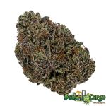 Purple Punch
