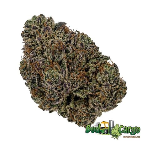 Purple Punch
