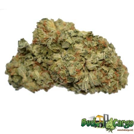 Jet Fuel - Oz Deal