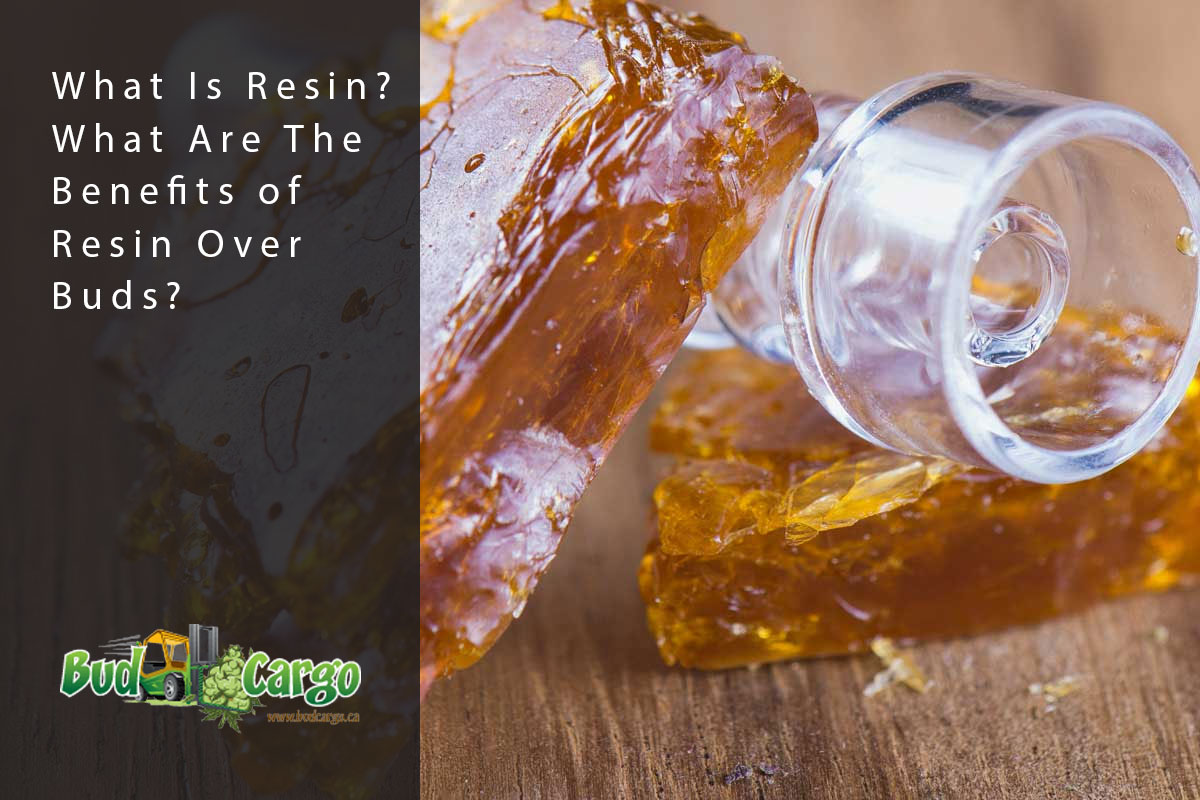 what is resin
