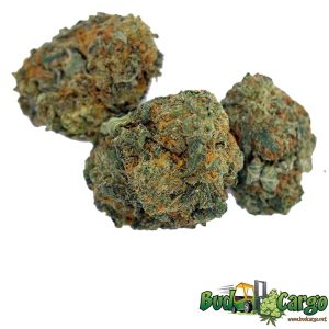 ALIEN OG – WHOLESALE