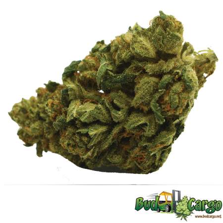 Cookie Cream