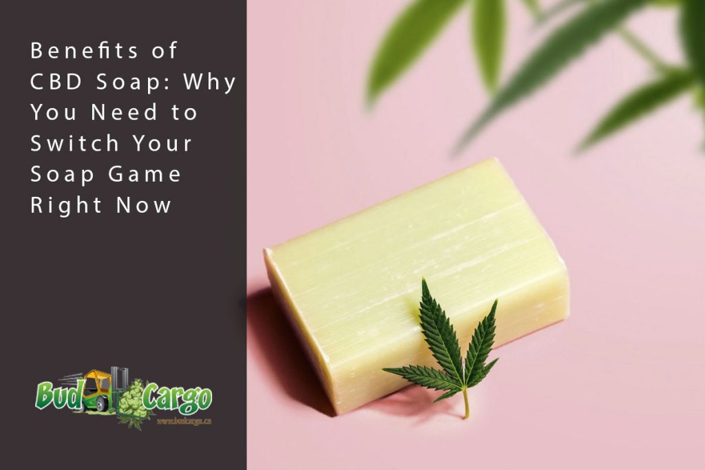 bcargo blog soap