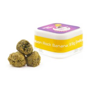 to the moon .g indica banana