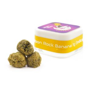to the moon indica banana