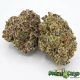 Crystal Gelato