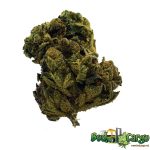 grease monkey