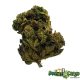 grease monkey