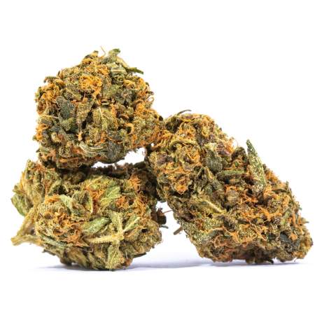 BLUECHEESE min