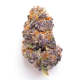 Purple Mendocino  - AAAA - 7 Grams