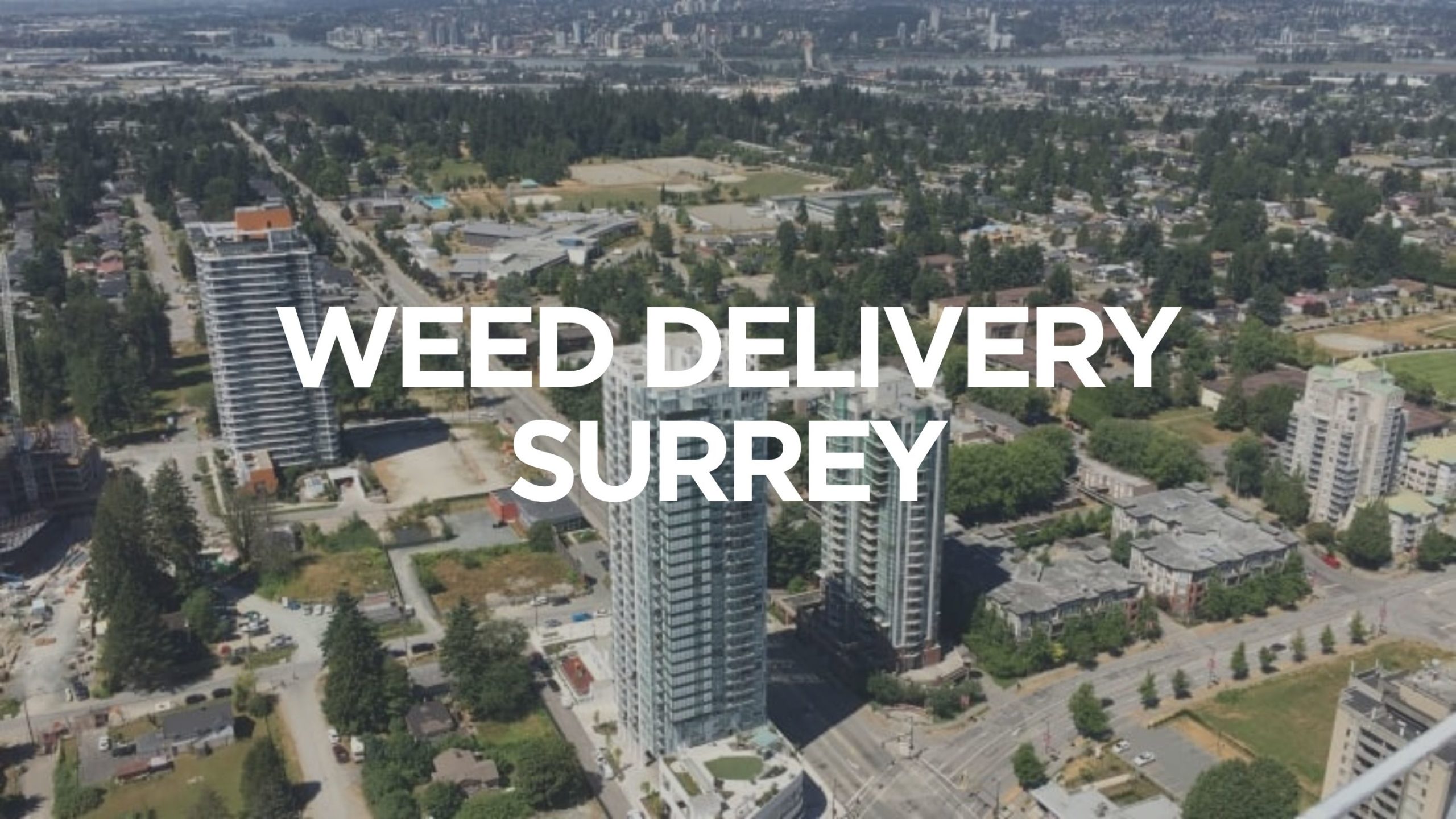 Weed Delivery Surrey vancouver