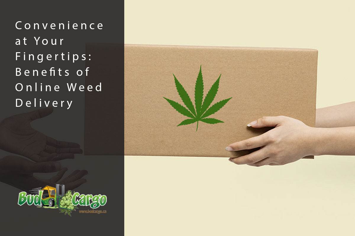 bcargo blog weed delivery