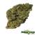 Apple Fritter