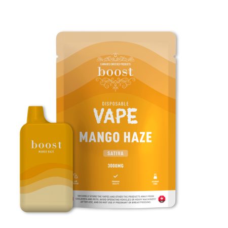Boost Mango Haze Pouch and Vape