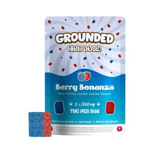 Grounded High Dose Bricks – Berry Bonanza mg Gummies