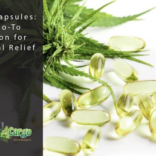 THC and CBD oil capsules in Canada - Bud Cargo