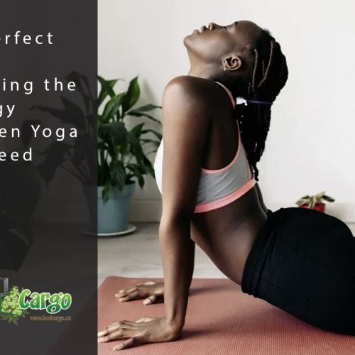 bcargo blog yoga