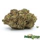 Zkittlez AAAA