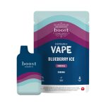 Boost g Vapes Blueberry Ice Boost Pouch and Vape scaled