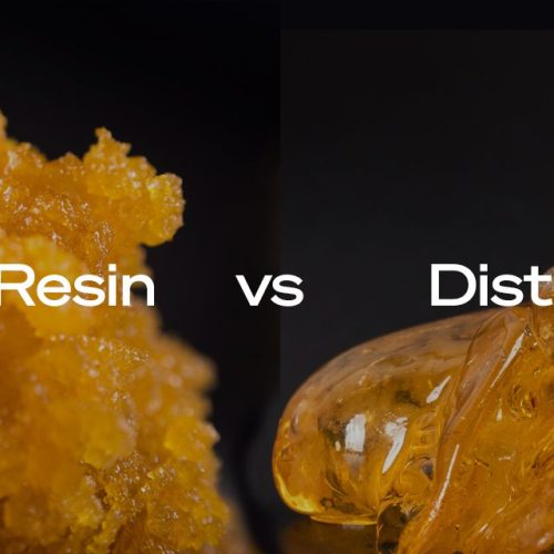 live resin vs distillate