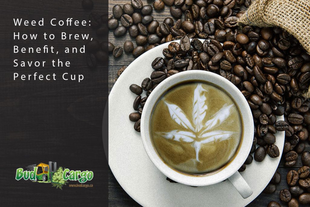 bcargo blog weedcoffee