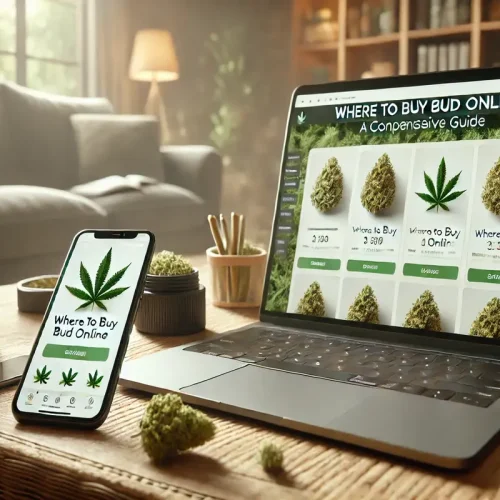 Where to Buy Bud Online A Comprehensive Guide