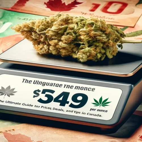 How Much an Ounce of Weed Costs The Ultimate Guide to Prices, Deals, and Tips in Canada