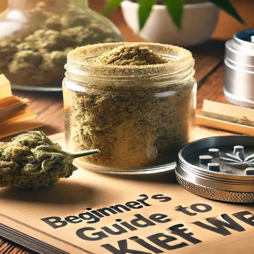 The Ultimate Guide to Using Kief Weed for Beginners