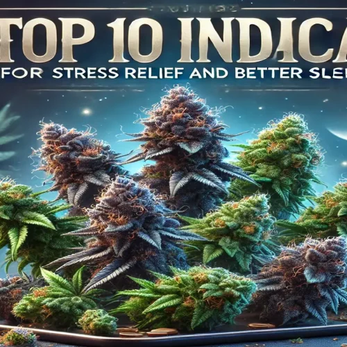 Top Indica Flowers for Stress Relief and Better Sleep