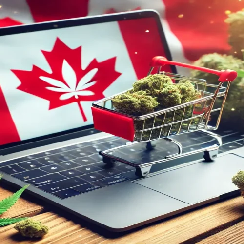 Buy Bud Online in Canada Pros, Cons, and Insider Tips