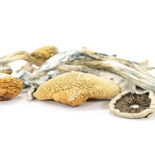 The Ultimate Guide to Blue Meanies Mushrooms Effects, Dosage, and Safety