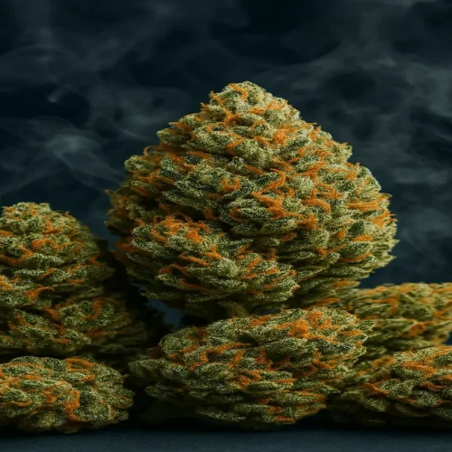 Strongest Weed for Sale in Strains That Pack a Serious Punch