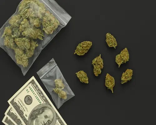 Avoiding the Risks of Buying Bulk Weed Online