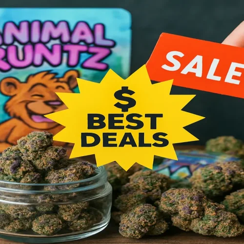 Best Deals on Animal Runtz Strain This Month – Don't Miss Out!