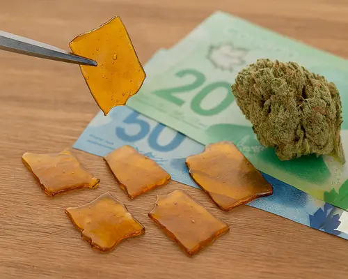 Best Place to Buy Shatter Canada What to Look For